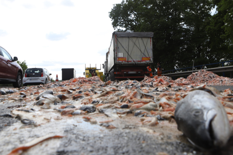 Unfall A1 Igitt Lkw Verteilt Tonnenweise Fisch Abfalle Auf Der Autobahn Tag24