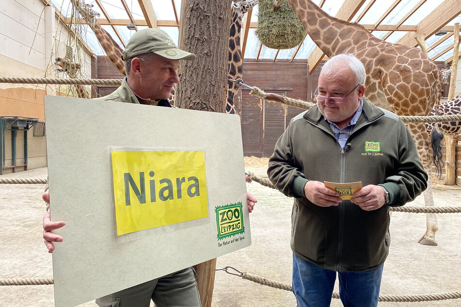 Bereichsleiter Jens Hirmer und Zoodirektor Jörg Junhold bei der Taufe von Niara am Dienstag.