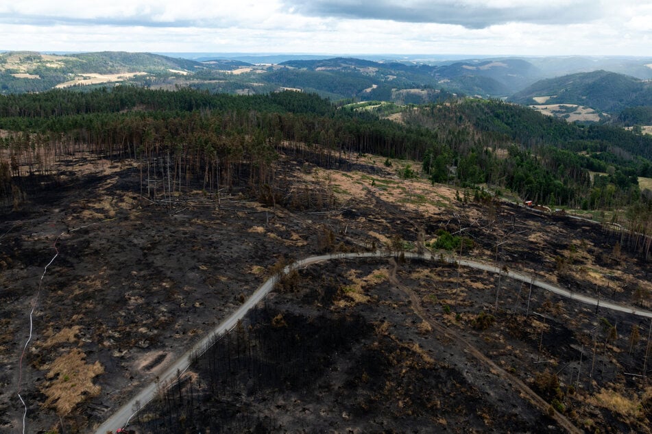 Der Waldbrand hatte über mehrere Tage gewütet und an vielen Stellen verbrannte Erde hinterlassen.
