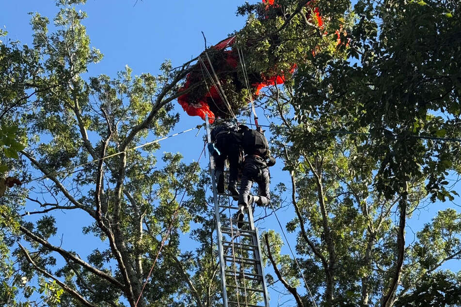 Der zweite Fallschirmspringer war in einem hohen Baum hängen geblieben.