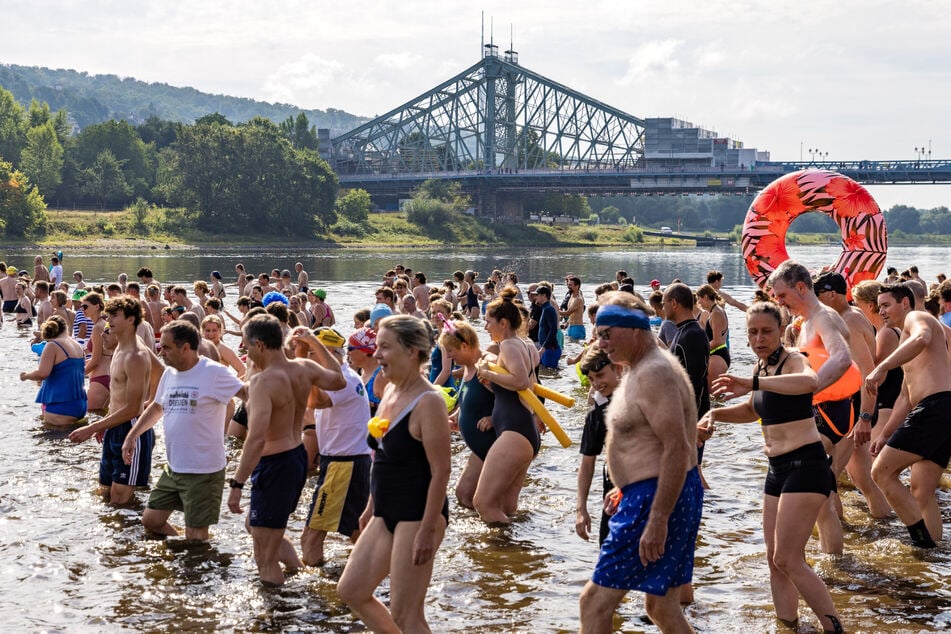 Mehr als 2300 Menschen wurden gezählt, die sich am Sonntag in die Elbe wagten.