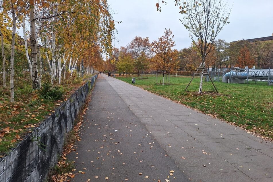Im Lene-Voigt-Park wurde eine junge Frau sexuell belästigt. (Archivbild)