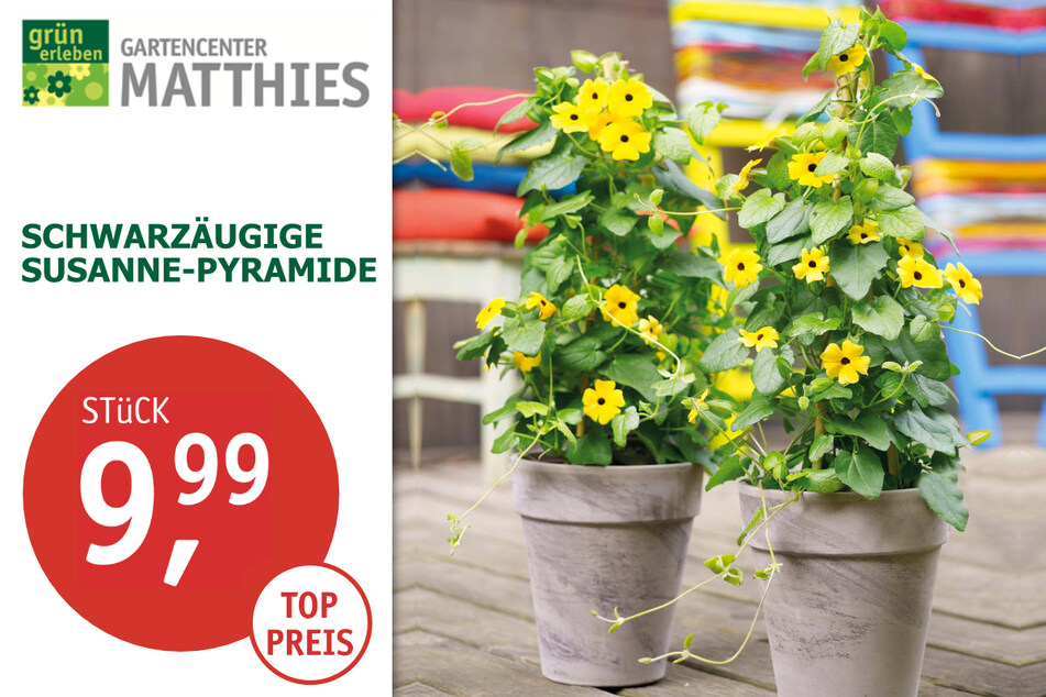 32+ Gartencenter Sonntags Geöffnet Nrw, Der landesverband gartenbau
