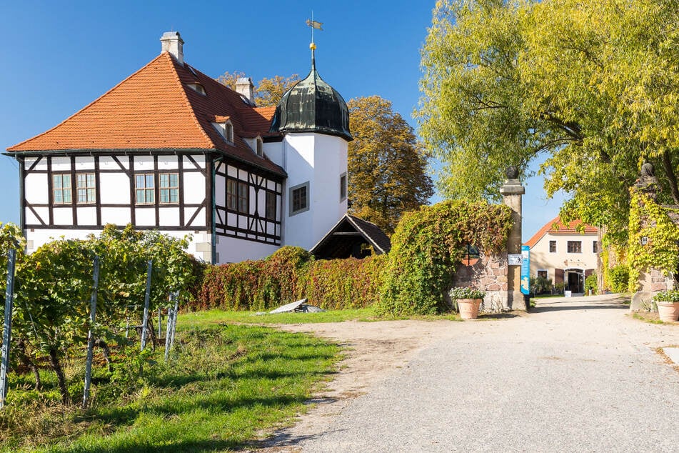 Die Hoflößnitz ist für ihre Sekte mit so klangvollen Namen wie "Sibylle", "Johann Georg" oder "Kurfürst" bekannt.