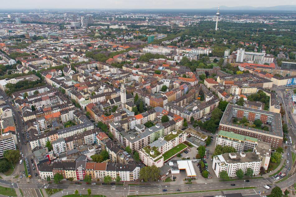 Blick auf den Mannheimer Stadtteil Schwetzingerstadt. (Archiv)
