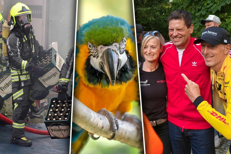 Rückblick auf September bis Dezember: Das waren die Schlagzeilen des Jahres in Sachsen