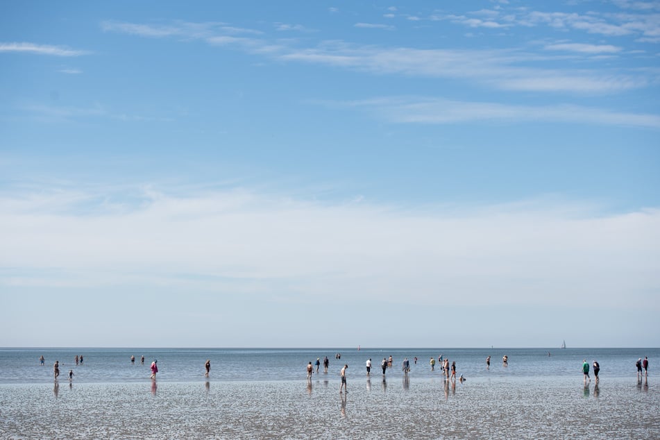 Zahlreiche Menschen sind in Büsum im Watt unterwegs.
