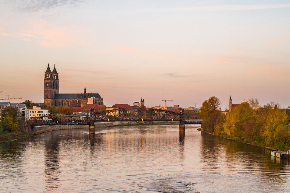 Der Dom gehört zu den absoluten Lieblingsplätzen von Borris in Magdeburg. Aber auch an der Elbe ist sie gerne.