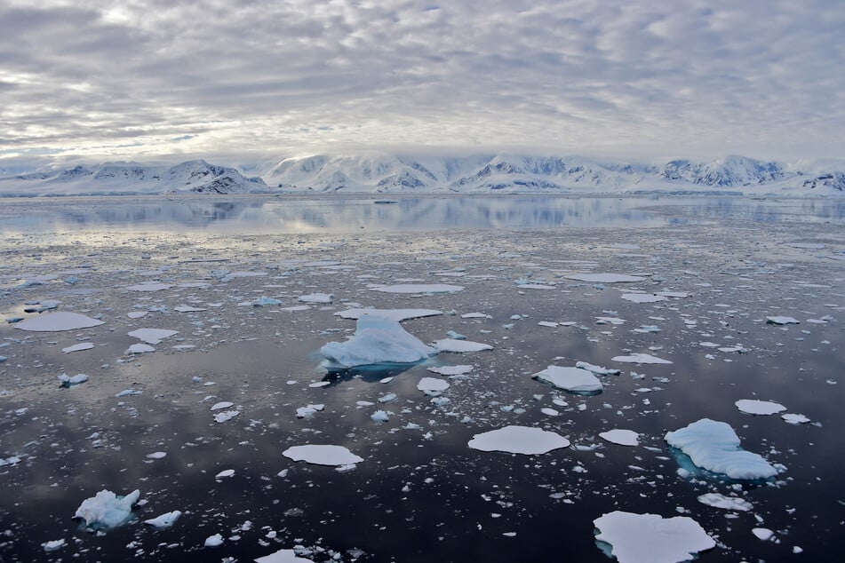 Scientists sound the alarm over effects of melting sea ice in Antarctica