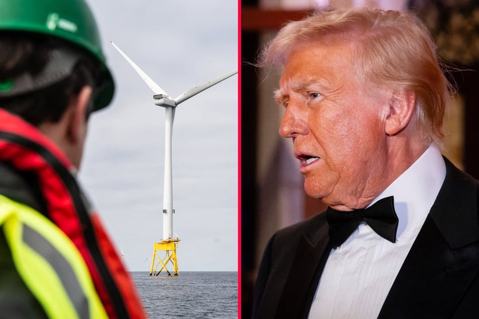 Trump continues vendetta against windmills with confusing jab at UK government policy