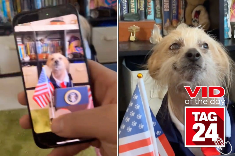 Today's Viral Video of the Day features a dog that looks like he's running for President!