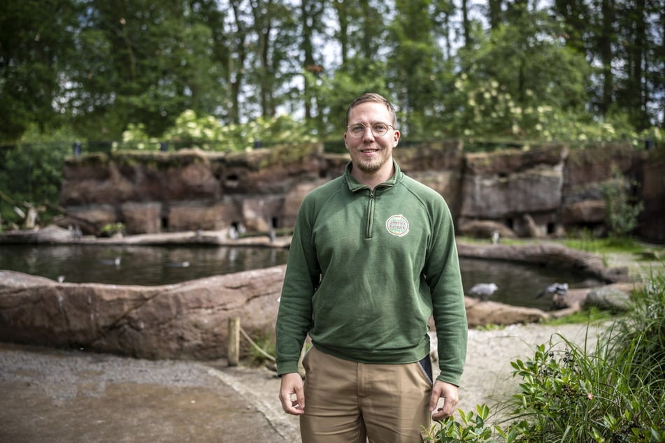 Der neue Tierparkleiter Patrick Prüß (31) fühlt sich sichtlich wohl in seiner neuen Rolle.