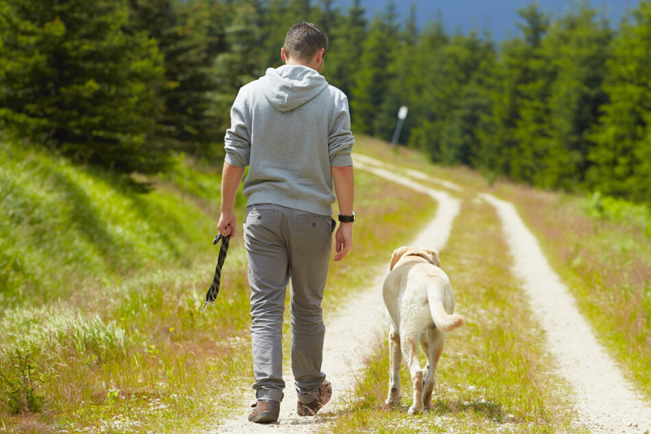 Beim Spazierengehen mit seinem Hund ist ein Mann in Oberbayern von einem Bauernhof-Anwohner mit einer Mistgabel verfolgt worden. (Symbolbild)