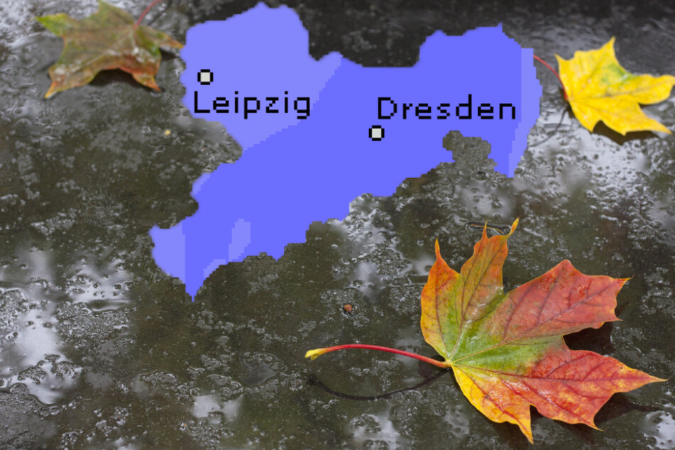 Regen, Frost und Schnee in Sachsen: So ungemütlich startet der November