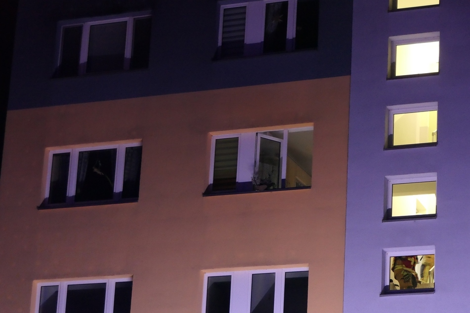 Die Bewohner hatten Essen auf dem Herd vergessen. Glücklicherweise wurde niemand verletzt.