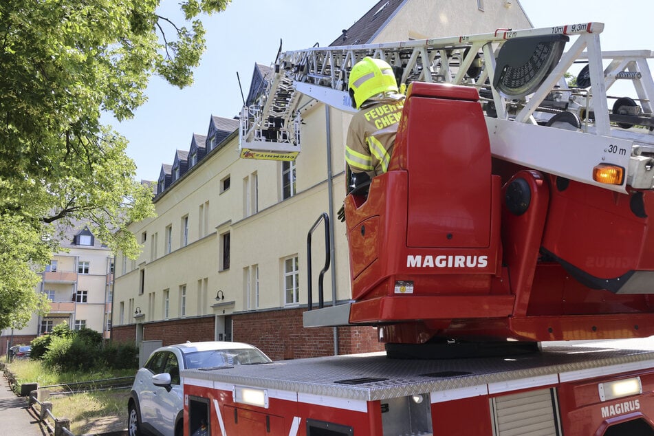 Die Feuerwehr hat den Mauersegler mithilfe der Drehleiter aus der Dachrinne geholt.