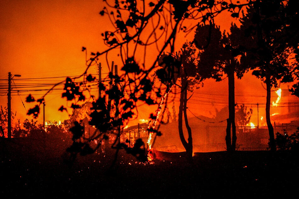 Nach verheerendem Waldbrand: Feuerwehrmann und Forstbeamter verhaftet