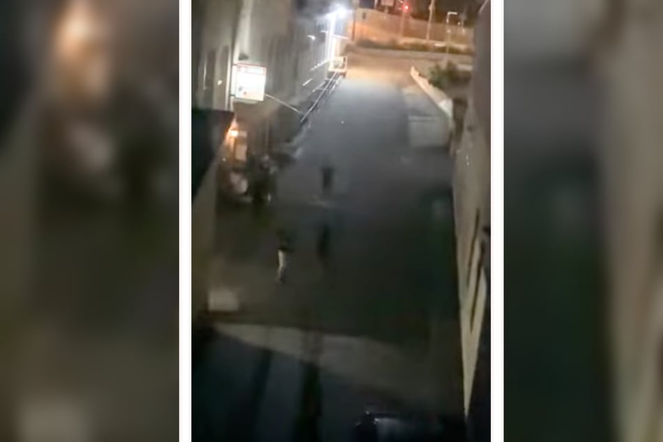 In der Dunkelheit schallten "Sieg Heil"-Rufe durch die Gegend. Ein Mann hob den Arm zum Hitlergruß.