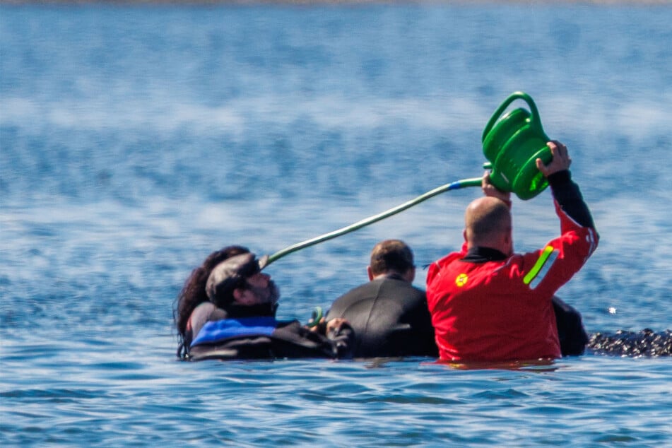 Hält "Timmy" weiter durch? "Er hat einen sehr starken Überlebenswillen!"