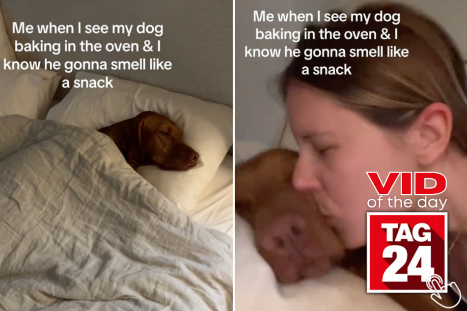 Today's Viral Video of the Day features a dog owner and her hilarious reaction to her pup's "Frito" scent when getting out of bed.