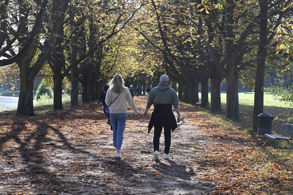 Eine Jacke benötigten Spaziergänger dank der milden Temperaturen im Oktober eher selten.