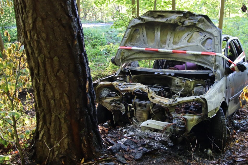 Opel kracht gegen Baum – Fahrer stirbt noch am Unfallort