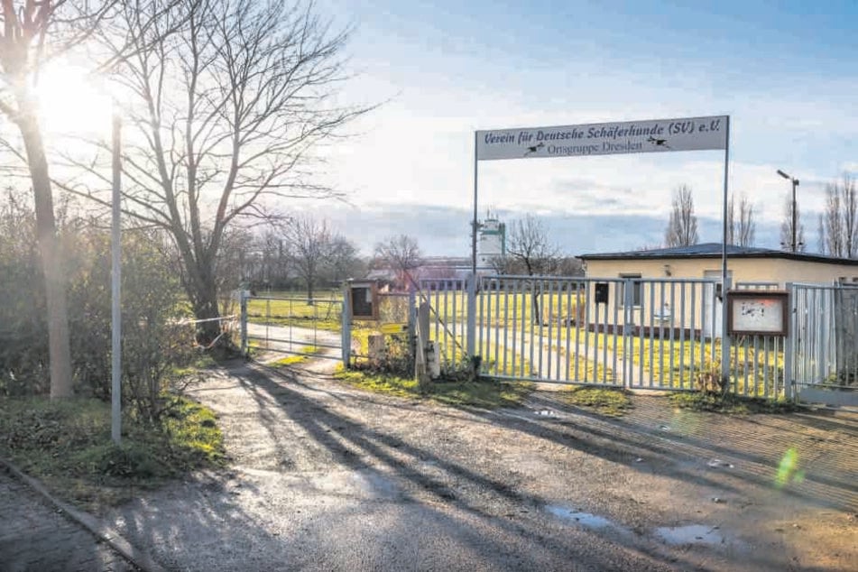 Die Hundeschule an der Washingtonstraße kann bleiben.