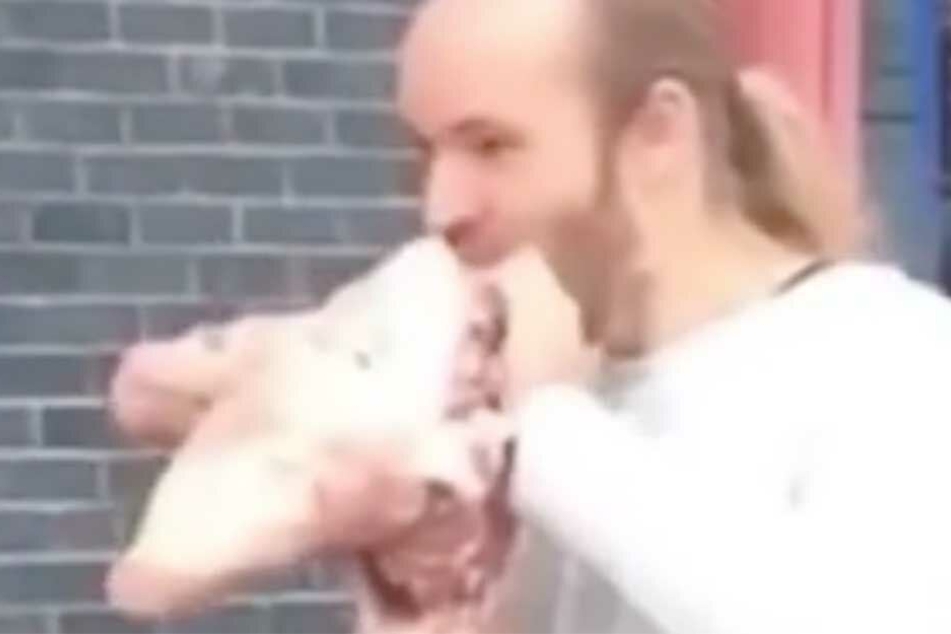 Das Statement für Fleisch-Essen scheint einen ziemlich zähe Angelegenheit gewesen zu sein.