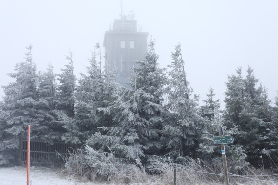 Der Fichtelberg ist in eine winterliche Wolke und zarte Schneedecke gehüllt.
