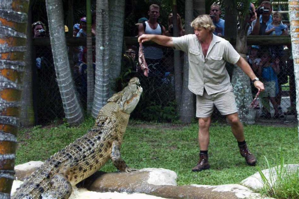 Tierfilmer und Abenteurer Steve Irwin (†44) starb bei einem Stachelrochen-Angriff.