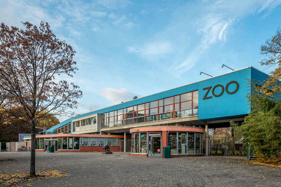 Im Dresdner Zoo wurde bei Tieren die gefürchtete Vogelgrippe festgestellt.