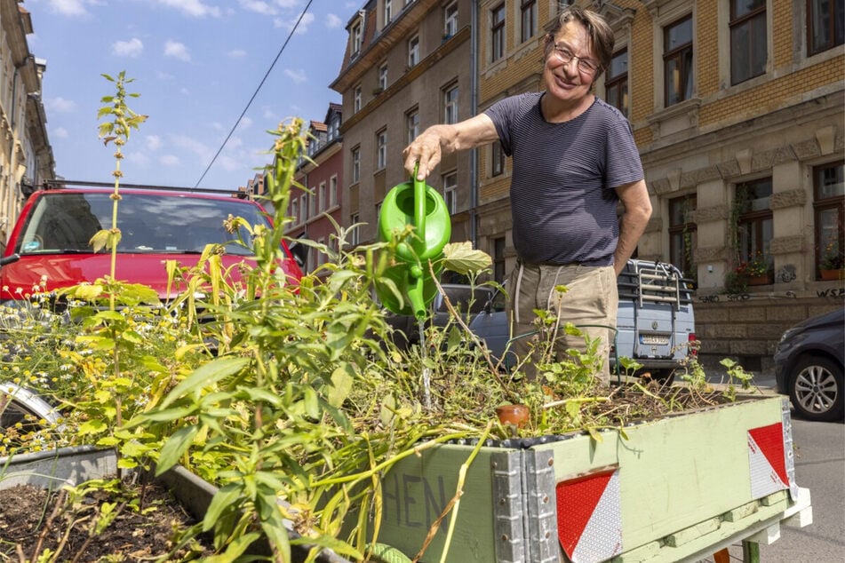 Christoph Anders gießt als Beet umfunktionierte Fahrradanhänger - auch "Fahrgärtchen" genannt. Vor Kurzem wütete darin ein Marder.