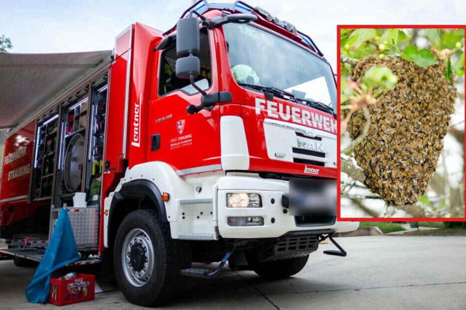 Der Feuerwehr gelang es, die Jugendlichen unversehrt aus der Sattelkammer zu befreien.