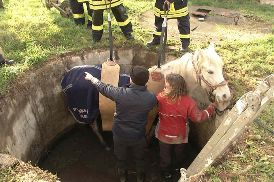 Pferdebesitzerin Steffi Dahnke kletterte aus lauter Panik hinterher, als Alegre in den Brunnen stürzte.