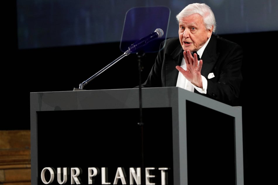 David Attenborough (94) is a famous naturalist and documentary film writer and presenter.