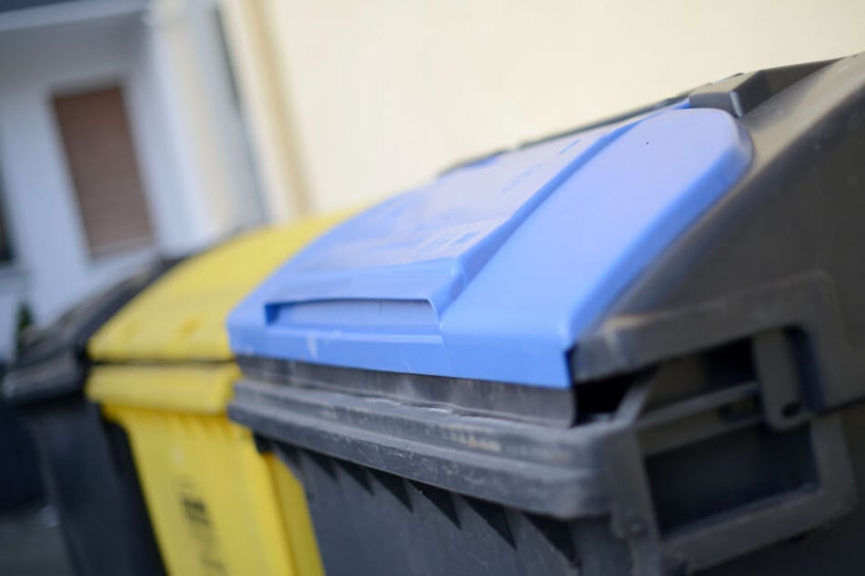 Wenn Lebensmittel aus dem Müllcontainern mitgenommen werden, ist das Diebstahl. (Symbolbild)
