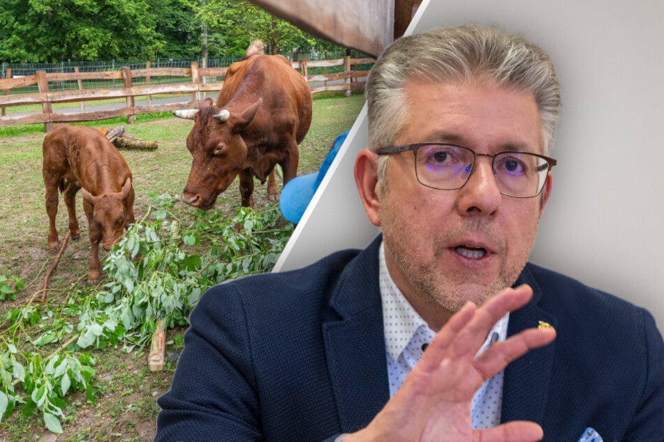Chemnitz: Gibt's bald Online-Tickets für den Chemnitzer Tierpark?