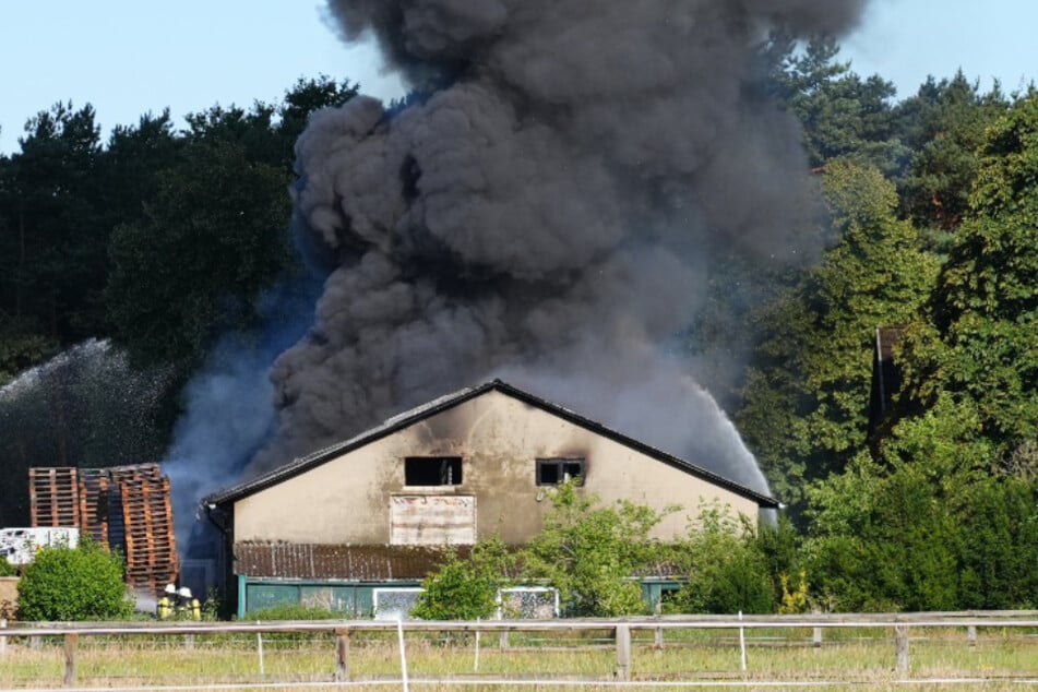 Im niedersächsischen Sittensen ist am Dienstagmorgen ein Großbrand in einer Lagerhalle ausgebrochen.
