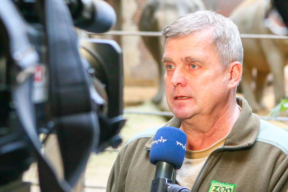 Aus für Zoo-Urgestein in Leipzig: "Will nicht von Arbeit gleich ins Krankenbett wechseln"
