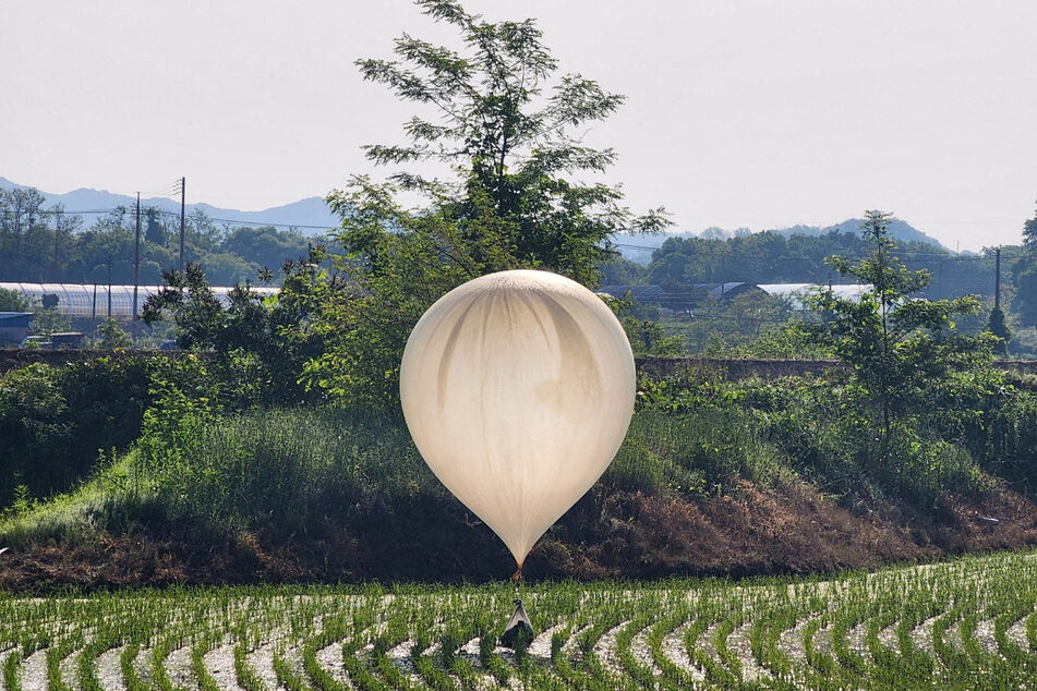 A balloon believed to have been sent by North Korea, carrying various objects including what appeared to be trash and excrement, is seen over a rice field at Cheorwon, South Korea.