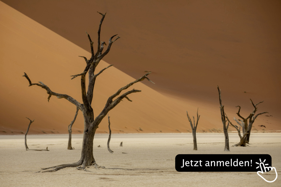 Namibia - Safari- und Wüstenerlebnisse: 11 bis 12 Uhr mit Markus Leithold (DIAMIR Erlebnisreisen)