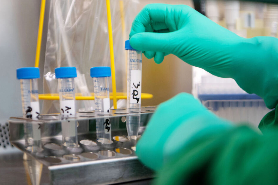 Der Kampf gegen das neuartige Coronavirus läuft weltweit auf Hochtouren.