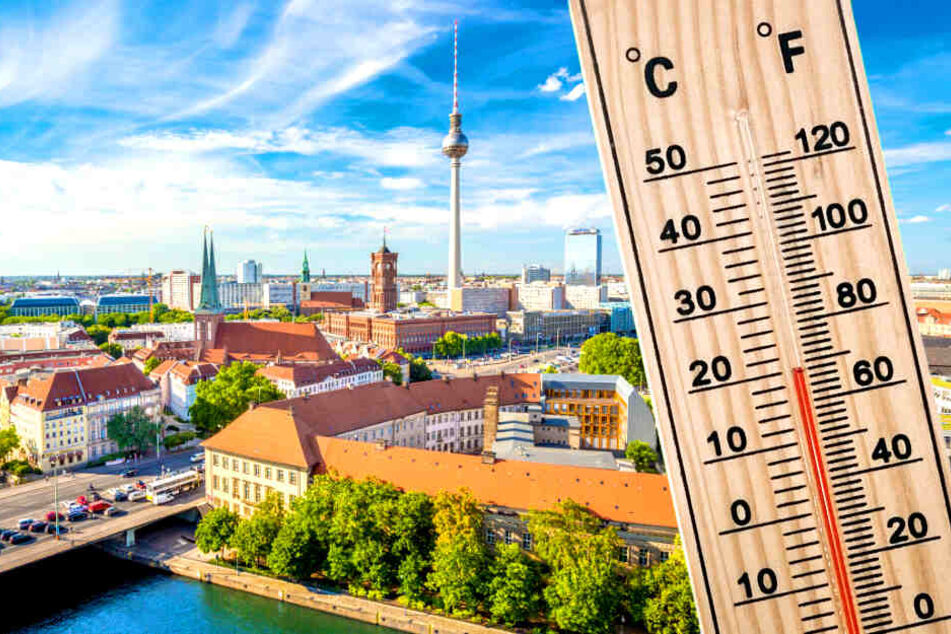Am Wochenende können im Raum Berlin/Brandenburg bis zu 20 Grad werden (Symbolbild).