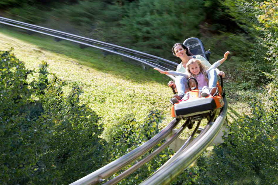 In Oberhof wird sie Rodelsaison im Sommer eröffnet. (Symbolbild)