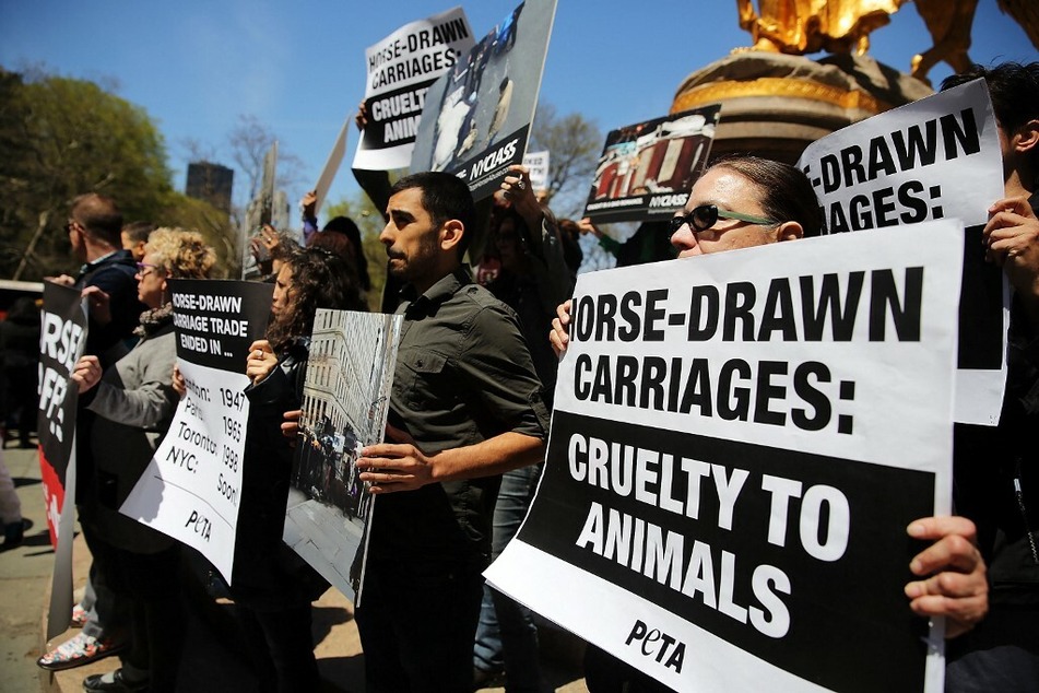 Politicians and animal rights advocates in NYC are pushing new legislation to outlaw horse-drawn carriages, arguing that they are cruel and inhumane.