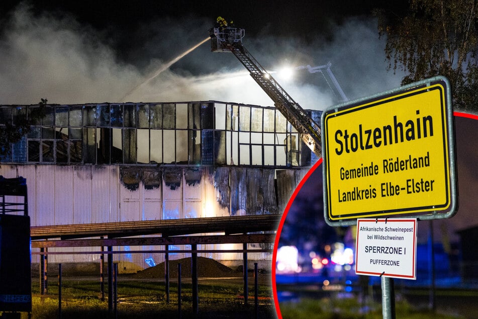 Massives Feuer in der Niederlausitz: Getreidehalle steht in Flammen