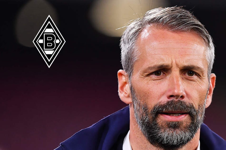 Neuer Trainer MГ¶nchengladbach Neuer Trainer MГ¶nchengladbach