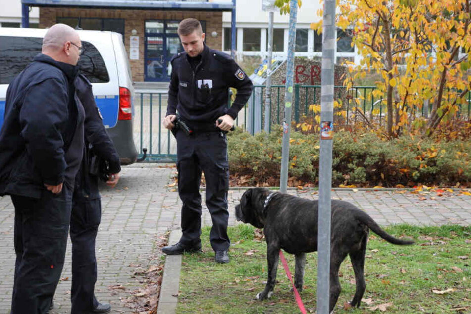 Die Einsatzkräfte kümmerten sich um den Vierbeiner.