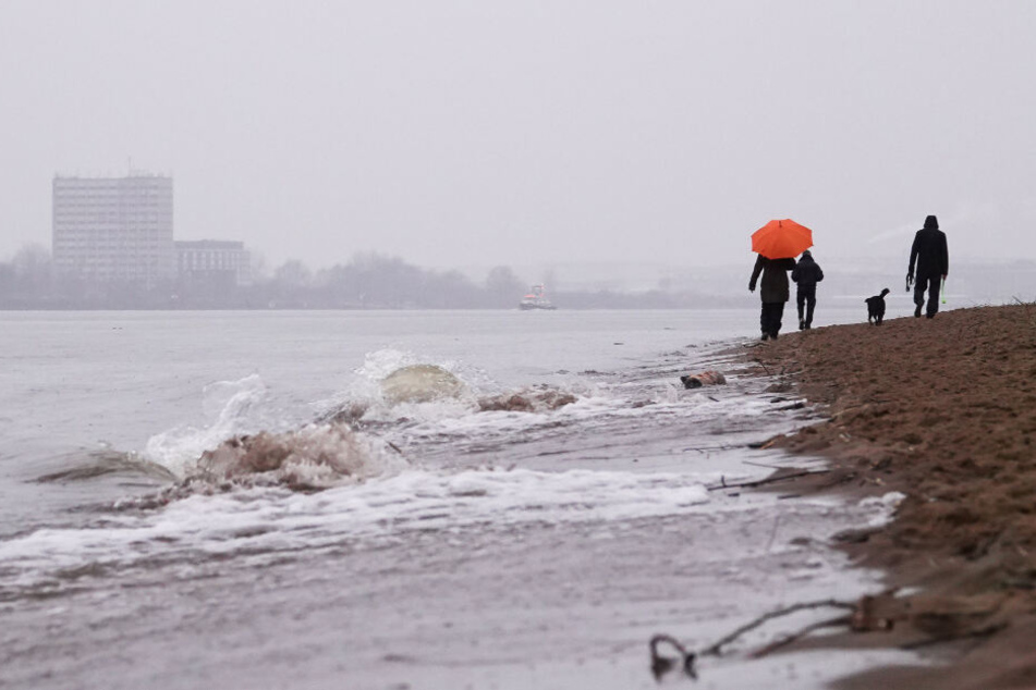 Wetter In Hamburg Wann Wird Es Endlich Richtig Winter Tag24