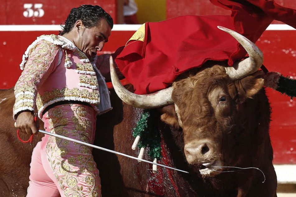 Torero Tuch Torero Tuch